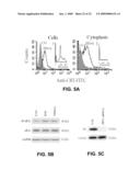 KIT FOR TREATING A HEALTH CONDITION BY INDUCING TRANSLOCATION OF AN ERP57 PROTEIN TO A CELLULAR MEMBRANE diagram and image