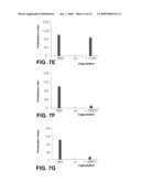 KIT FOR TREATING A HEALTH CONDITION BY INDUCING TRANSLOCATION OF AN ERP57 PROTEIN TO A CELLULAR MEMBRANE diagram and image