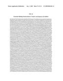 Polynucleotides and polypeptides associated with the development of rheumatoid arthritis diagram and image