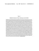 Polynucleotides and polypeptides associated with the development of rheumatoid arthritis diagram and image