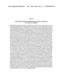 Polynucleotides and polypeptides associated with the development of rheumatoid arthritis diagram and image