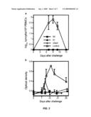 METHODS OF TREATING MEASLES INFECTIOUS DISEASE IN MAMMALS diagram and image