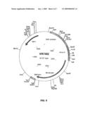 METHODS OF TREATING MEASLES INFECTIOUS DISEASE IN MAMMALS diagram and image