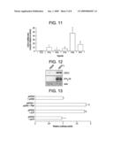 Methods and Compositions for Inhibiting Pathological Angiogenesis in the Eye diagram and image