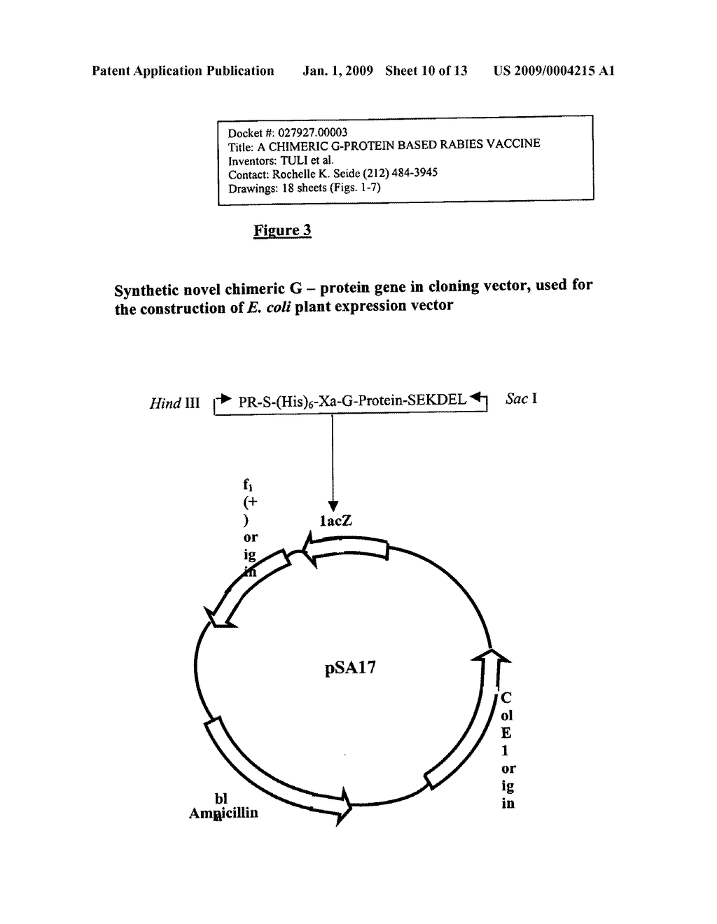 Chimeric G protein based rabies vaccine - diagram, schematic, and image 11