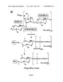 Capsule composition for use as immunogen against campylobacter jejuni diagram and image