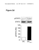 METHODS OF PREPARING A THERAPEUTIC FORMULATION COMPRISING GALECTIN-INDUCED TOLEROGENIC DENDRITIC CELLS diagram and image