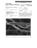 Lyocell fibers with anti-microbial activity diagram and image