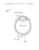 MODEL HUMAN EYE diagram and image