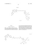 SITE-SPECIFIC LABELING OF AFFINITY PEPTIDES IN FUSION PROTEINS diagram and image