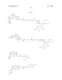 SITE-SPECIFIC LABELING OF AFFINITY PEPTIDES IN FUSION PROTEINS diagram and image