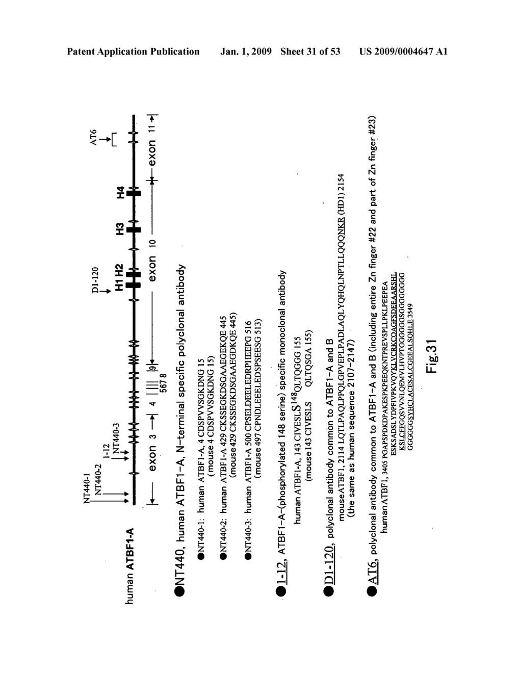 Method of Judging Grade of Malignancy of Carcinoma Cell - diagram, schematic, and image 32