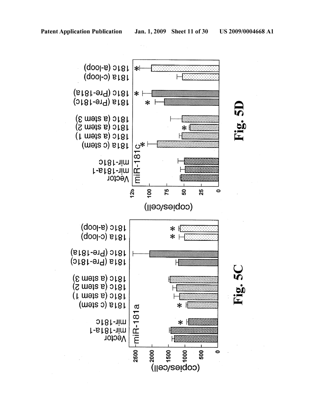 Pre-miRNA loop-modulated target regulation - diagram, schematic, and image 12