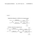 Process for constructing strain having compactin hydroxylation ability diagram and image