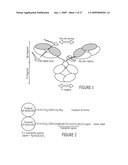 PURIFICATION OF IMMUNOGLOBULINS USING AFFINITY CHROMATOGRAPHY AND PEPTIDE LIGANDS diagram and image