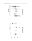 PURIFICATION OF IMMUNOGLOBULINS USING AFFINITY CHROMATOGRAPHY AND PEPTIDE LIGANDS diagram and image