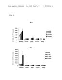 Methods, Compositions and Compound Assays for Inhibiting Amyloid-Beta Protein production diagram and image