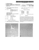 Variants derived from ACTRIIB and uses therefor diagram and image