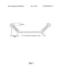 Compositions and Methods for Modulating Gene Expression Using Self-Protected Oligonucleotides diagram and image