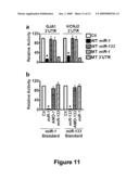 Use of the microRNA miR-1 for the treatment, prevention, and diagnosis of cardiac conditions diagram and image