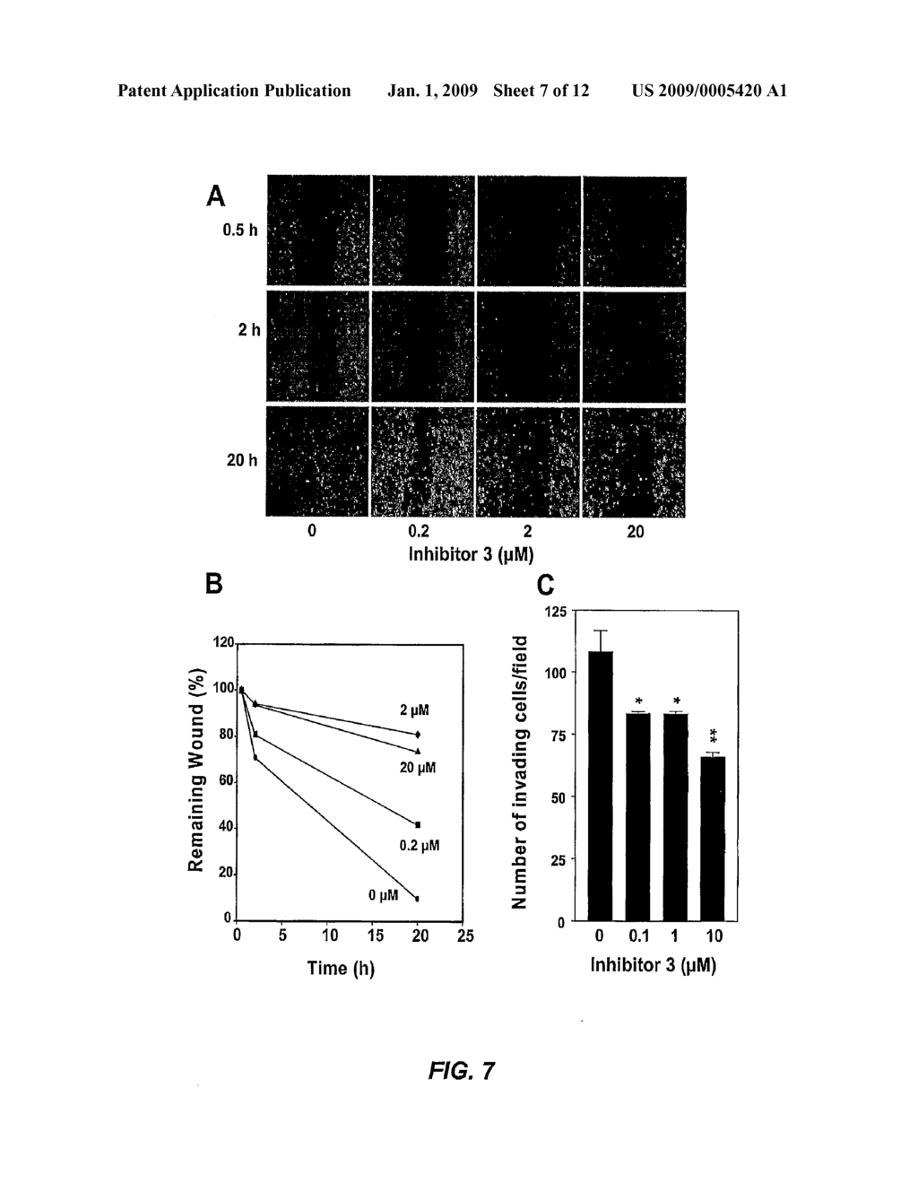 Inhibitors of Matrix Metallaproteinases - diagram, schematic, and image 08