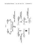 siRNa targeting neuropilin 1 (NRP1) diagram and image