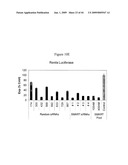 siRNa targeting neuropilin 1 (NRP1) diagram and image