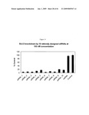 siRNa targeting neuropilin 1 (NRP1) diagram and image