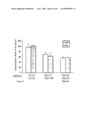 siRNa targeting neuropilin 1 (NRP1) diagram and image