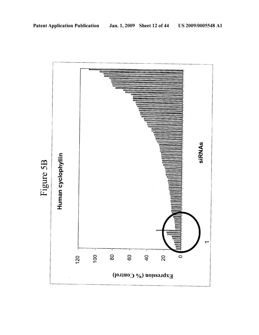 siRNA targeting nuclear receptor interacting protein 1 (NRIP1) - diagram, schematic, and image 13