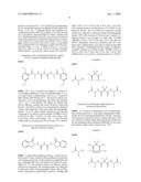 Synthesis of taxol enhancers diagram and image