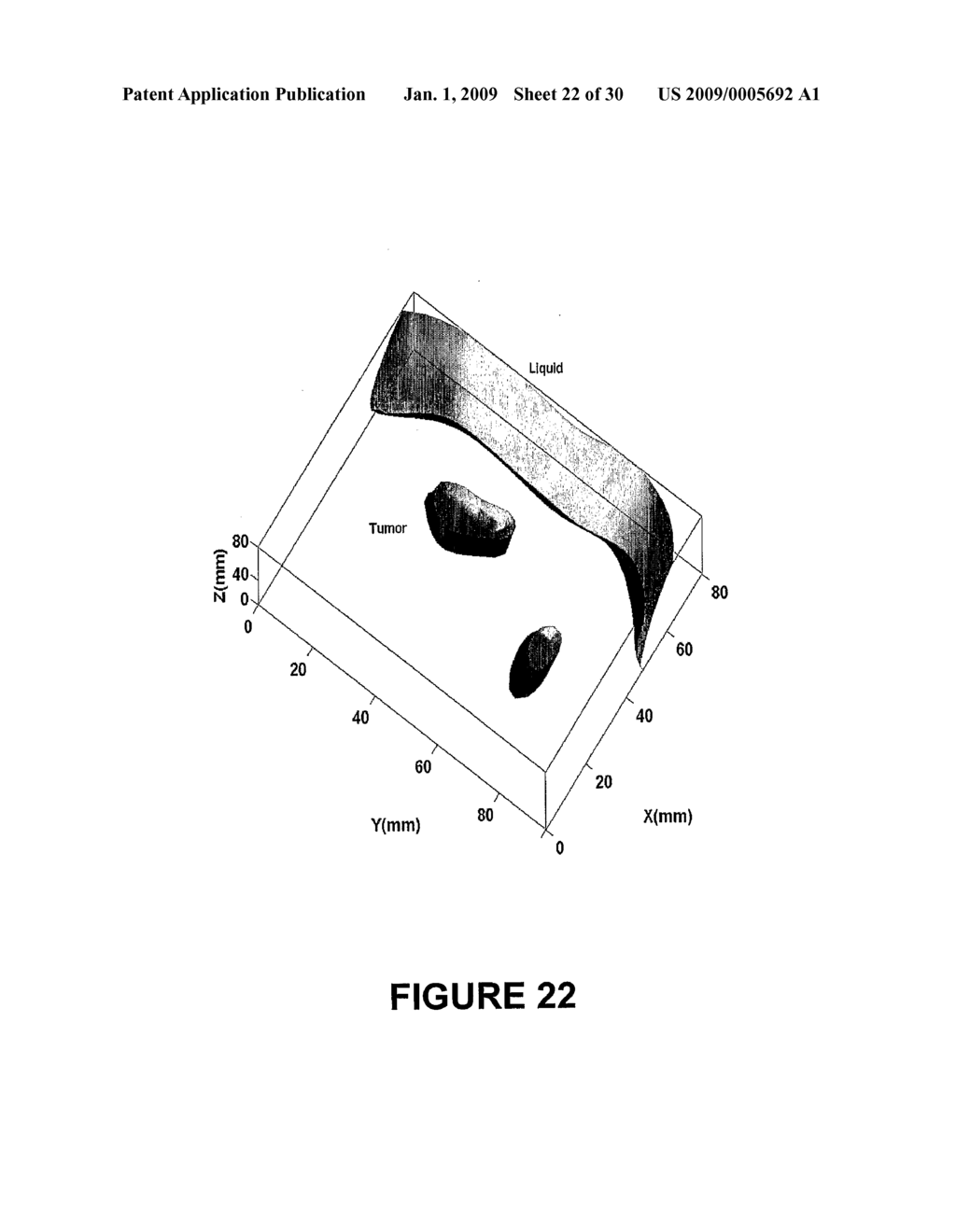 Optical Imaging Method For Tissue Characterization - diagram, schematic, and image 23