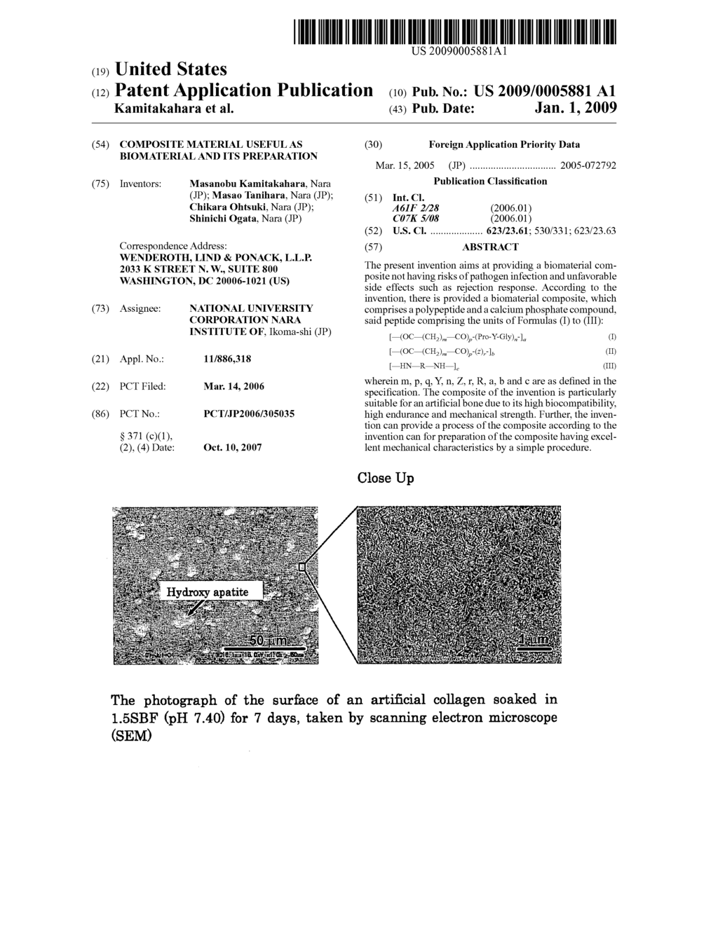 Composite Material Useful as Biomaterial and Its Preparation - diagram, schematic, and image 01