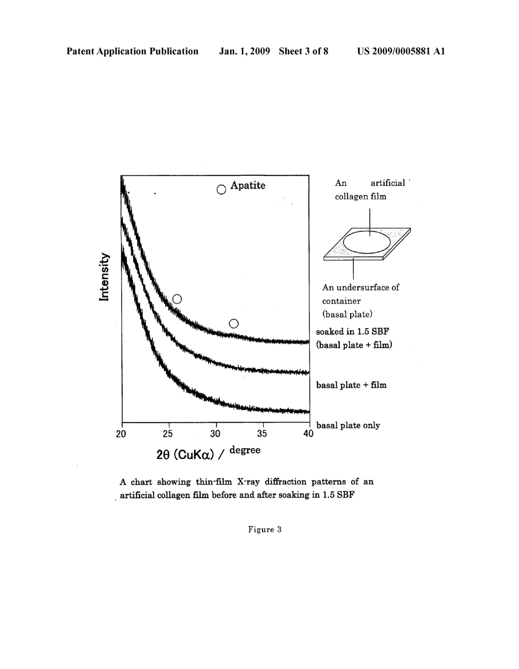 Composite Material Useful as Biomaterial and Its Preparation - diagram, schematic, and image 04