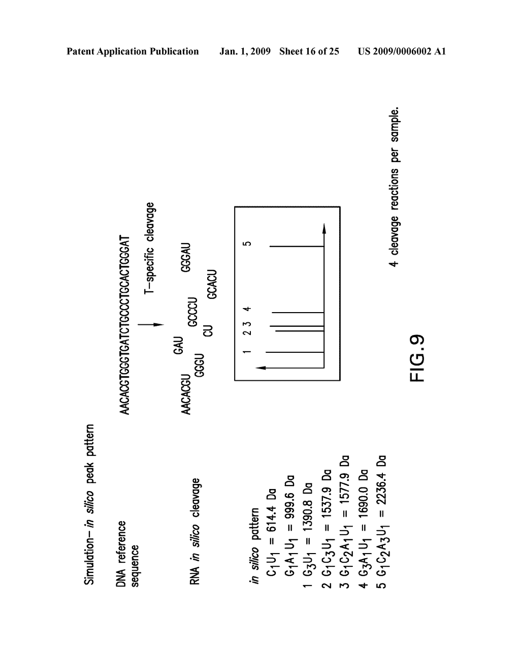 COMPARATIVE SEQUENCE ANALYSIS PROCESSES AND SYSTEMS - diagram, schematic, and image 17