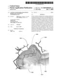 Systems and methods for mapping binding site volumes in macromolecules diagram and image