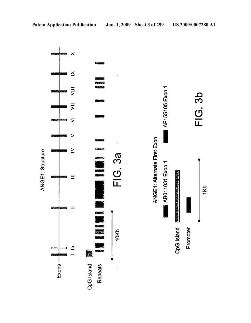 Ange gene in atopy - diagram, schematic, and image 04