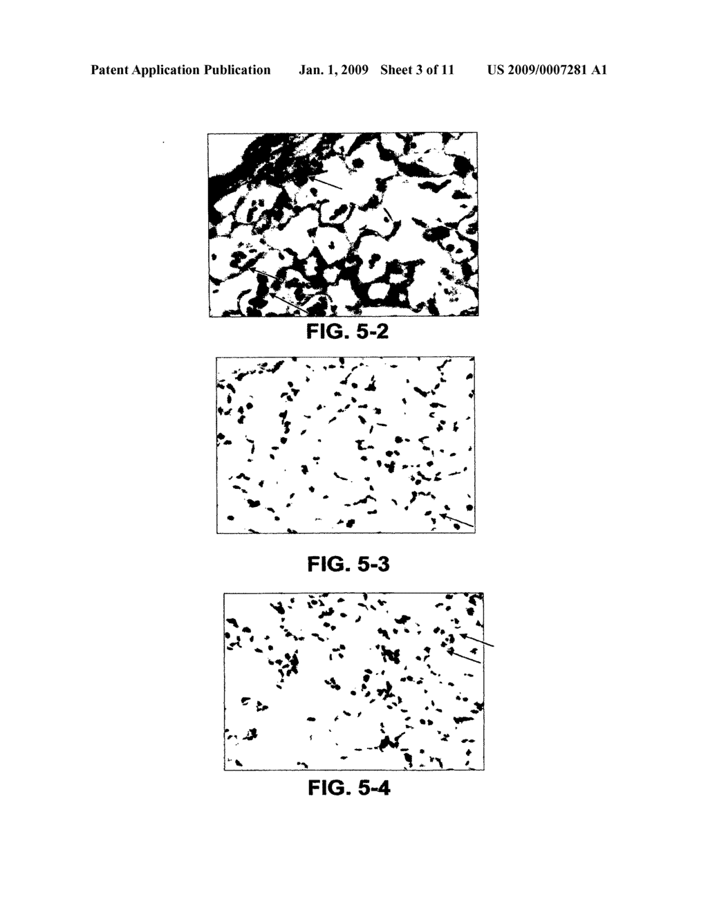 Animal Model for Assessing Copd-Related Diseases - diagram, schematic, and image 04