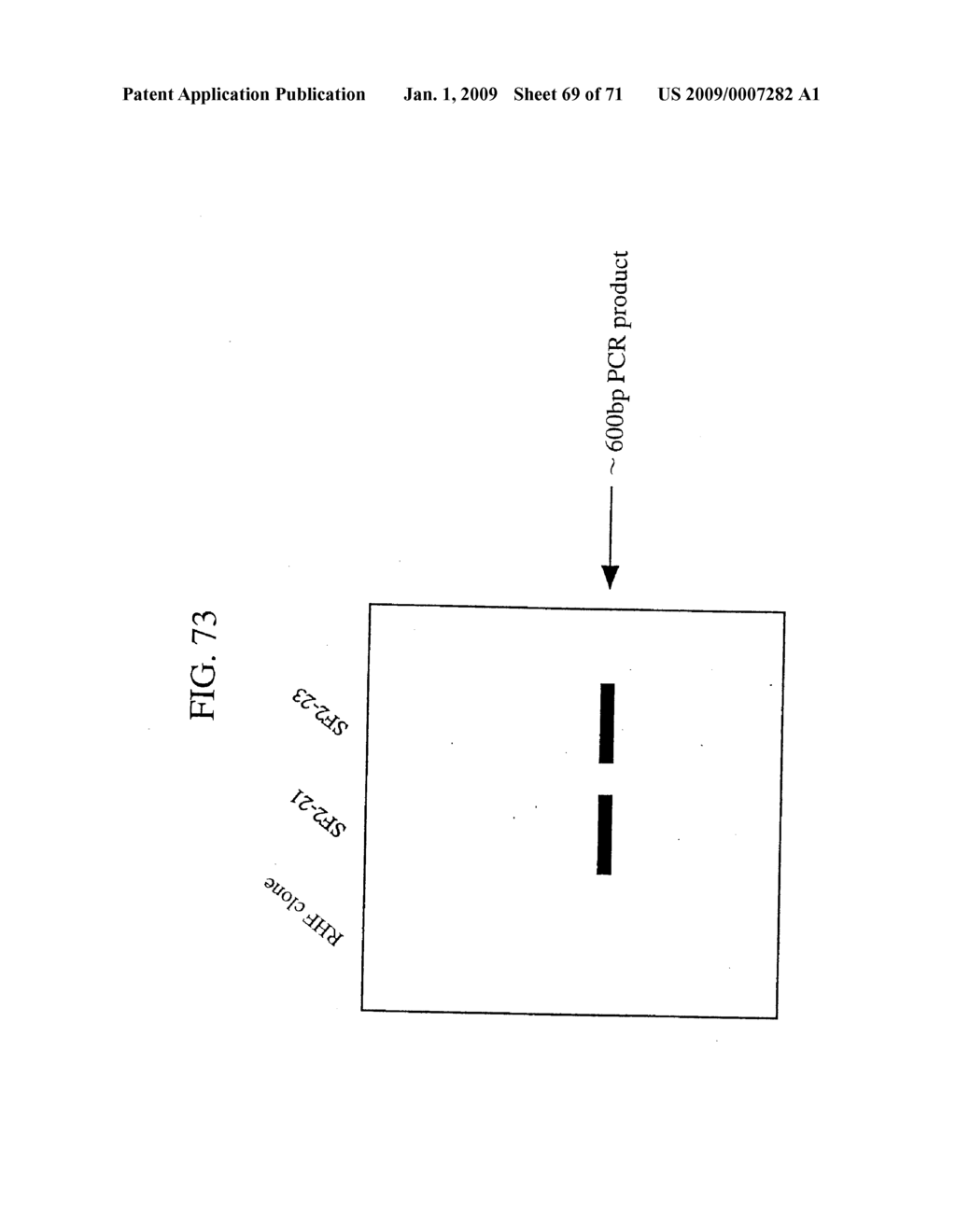 METHOD FOR MODIFYING CHROMOSOMES - diagram, schematic, and image 70