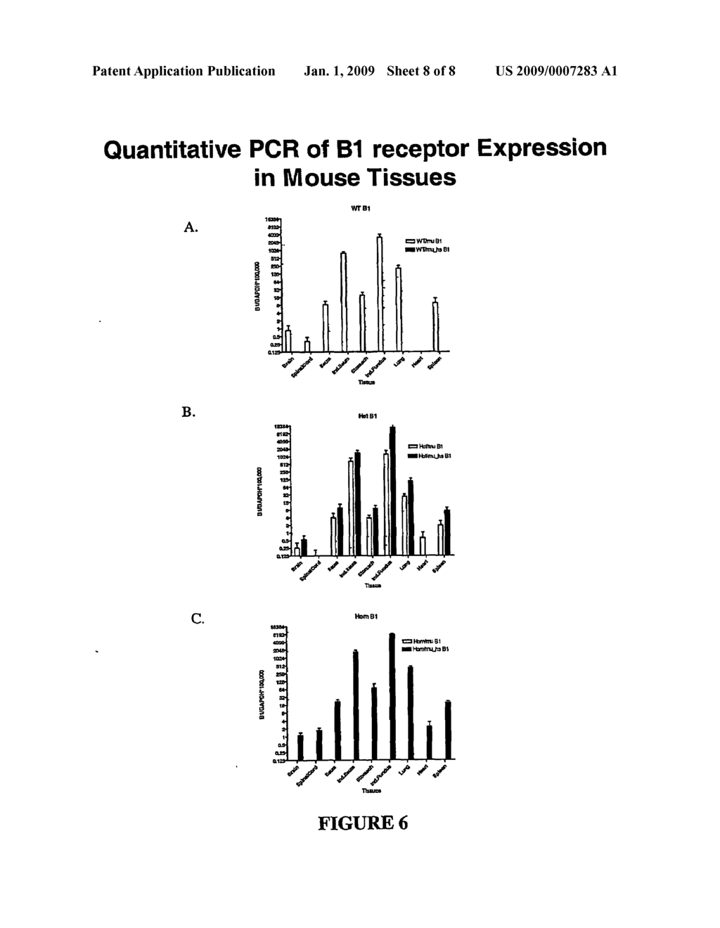 Transgenic Rodents Selectively Expressing Human B1 Bradykinin Receptor Protein - diagram, schematic, and image 09