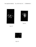 METHODS FOR CORRECTING MITOTIC SPINDLE DEFECTS AND OPTIMIZING PREIMPLANTATION EMBRYONIC DEVELOPMENTAL RATES ASSOCIATED WITH SOMATIC CELL NUCLEAR TRANSFER IN ANIMALS diagram and image