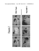 Transcription Factor Stress-Related Proteins and Methods of Use in Plants diagram and image