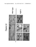 Transcription Factor Stress-Related Proteins and Methods of Use in Plants diagram and image