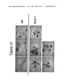 Transcription Factor Stress-Related Proteins and Methods of Use in Plants diagram and image