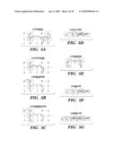 METHOD OF USING G-MATRIX FOURIER TRANSFORMATION NUCLEAR MAGNETIC RESONANCE (GFT NMR) SPECTROSCOPY FOR RAPID CHEMICAL SHIFT ASSIGNMENT AND SECONDARY STRUCTURE DETERMINATION OF PROTEINS diagram and image