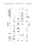 METHOD OF USING G-MATRIX FOURIER TRANSFORMATION NUCLEAR MAGNETIC RESONANCE (GFT NMR) SPECTROSCOPY FOR RAPID CHEMICAL SHIFT ASSIGNMENT AND SECONDARY STRUCTURE DETERMINATION OF PROTEINS diagram and image