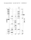 METHOD OF USING G-MATRIX FOURIER TRANSFORMATION NUCLEAR MAGNETIC RESONANCE (GFT NMR) SPECTROSCOPY FOR RAPID CHEMICAL SHIFT ASSIGNMENT AND SECONDARY STRUCTURE DETERMINATION OF PROTEINS diagram and image