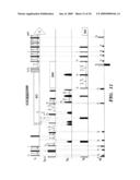 METHOD OF USING G-MATRIX FOURIER TRANSFORMATION NUCLEAR MAGNETIC RESONANCE (GFT NMR) SPECTROSCOPY FOR RAPID CHEMICAL SHIFT ASSIGNMENT AND SECONDARY STRUCTURE DETERMINATION OF PROTEINS diagram and image