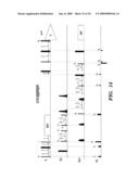 METHOD OF USING G-MATRIX FOURIER TRANSFORMATION NUCLEAR MAGNETIC RESONANCE (GFT NMR) SPECTROSCOPY FOR RAPID CHEMICAL SHIFT ASSIGNMENT AND SECONDARY STRUCTURE DETERMINATION OF PROTEINS diagram and image