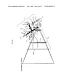 OPTICAL BEAM SCANNING DEVICE, IMAGE FORMING APPARATUS diagram and image